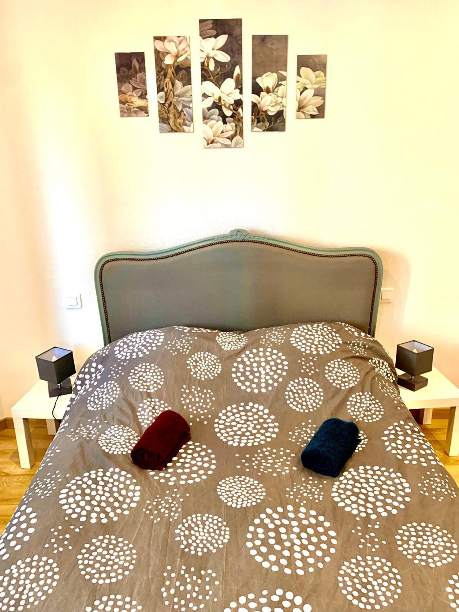 L Indemodable Renove Spacieux Et Lumineux Avec 2 Chambres Sarrebourg Exterior foto